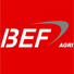 BEF logo