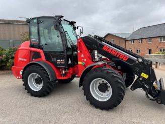 Manitou image