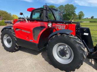 Manitou image