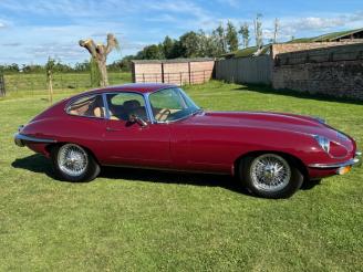 Jaguar image