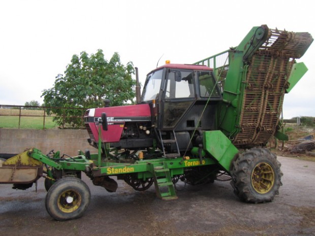 Standen Tornado 2 row beet harvester