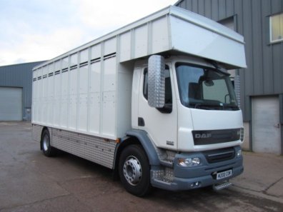 DAF LF 55.220 18 ton cattle lorry