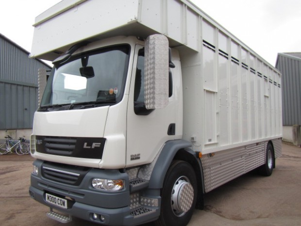 DAF LF 55.220 18 ton cattle lorry