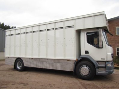 DAF LF 55.220 18 ton cattle lorry