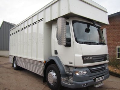 DAF LF 55.220 18 ton cattle lorry
