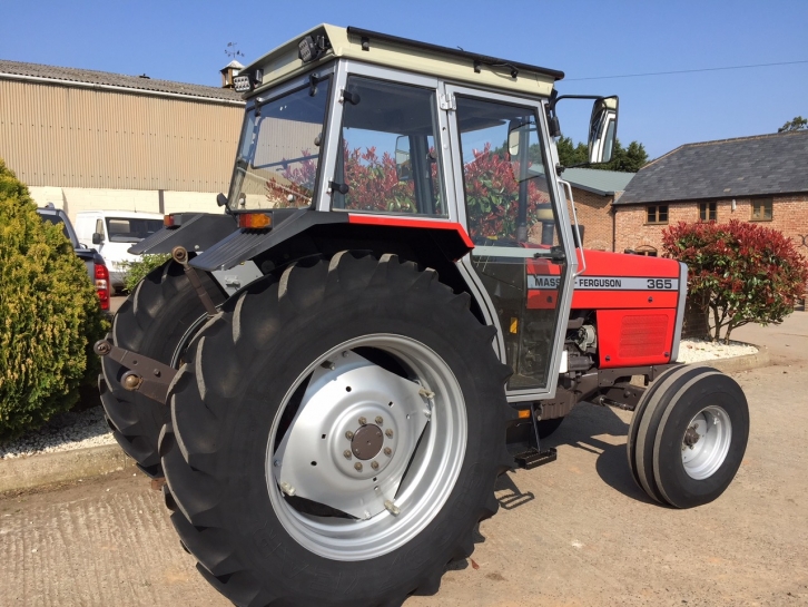 Massey Ferguson 365