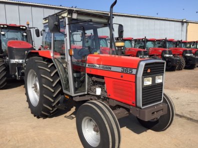 Massey Ferguson 365