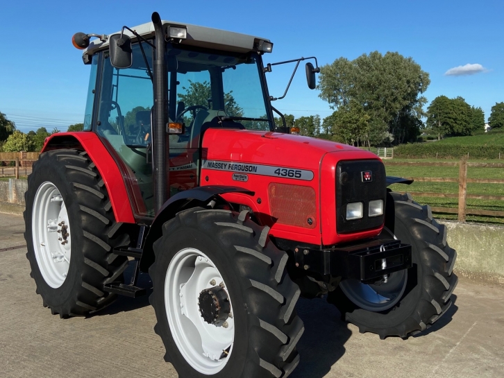 Massey Ferguson 4365