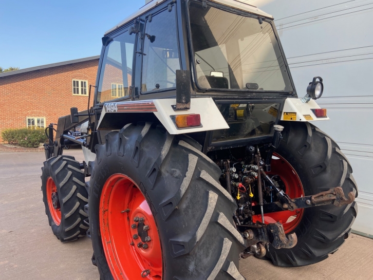 David Brown 1494