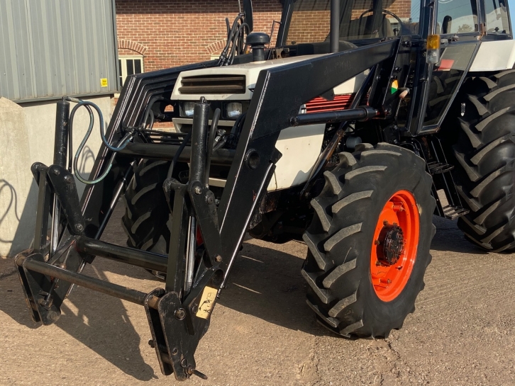 David Brown 1494
