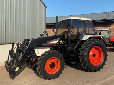 David Brown 1494