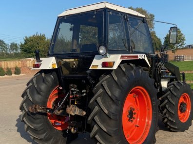 David Brown 1494