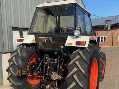 David Brown 1494