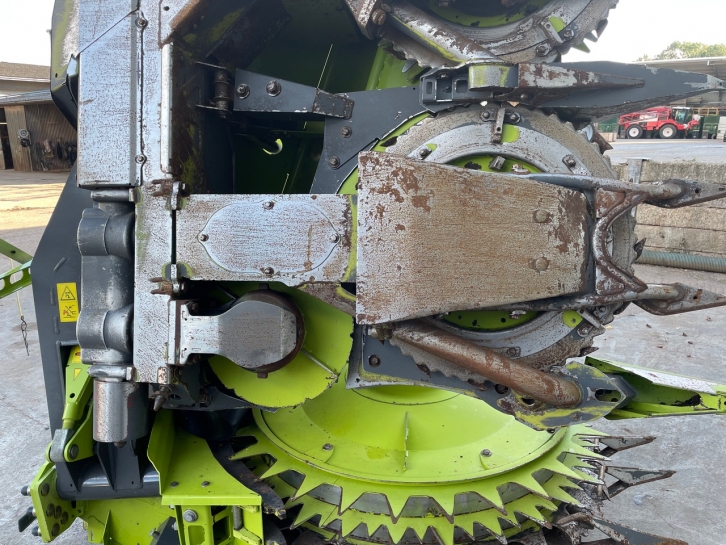 Claas Orbis 600 8 row Maize header