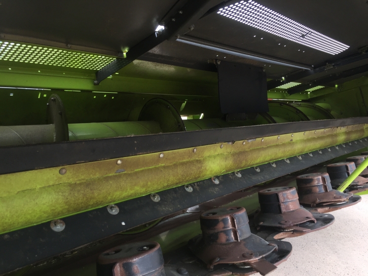 Claas direct disc 500P whole crop header