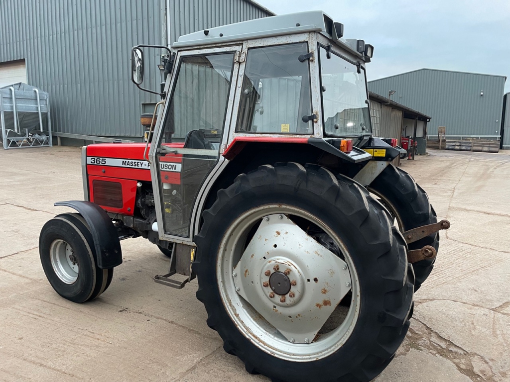 Massey Ferguson 365 Lo-Profile