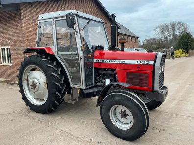 Massey Ferguson 365 Lo-Profile