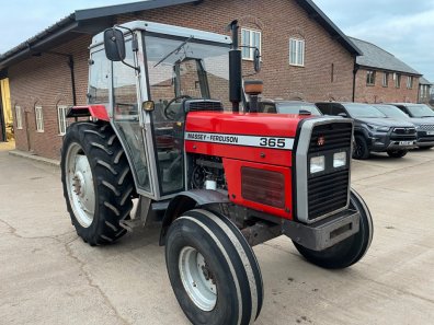 Massey Ferguson 365 Lo-Profile