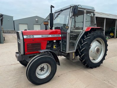 Massey Ferguson 365 Lo-Profile