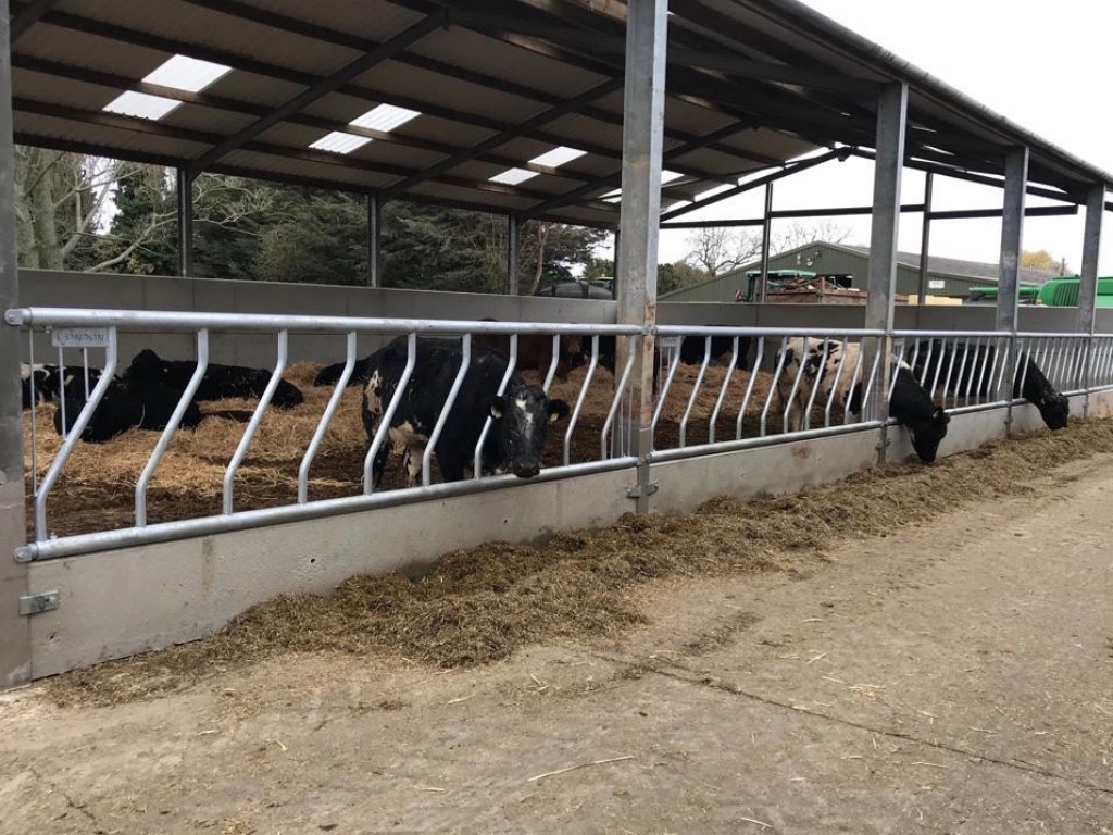 Condon Engineering fixed cattle feed barriers