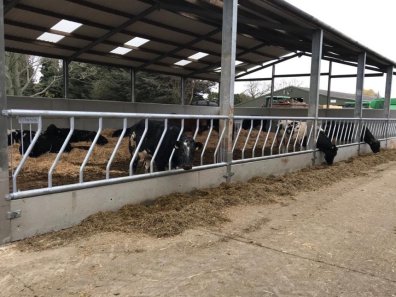 Condon Engineering fixed cattle feed barriers