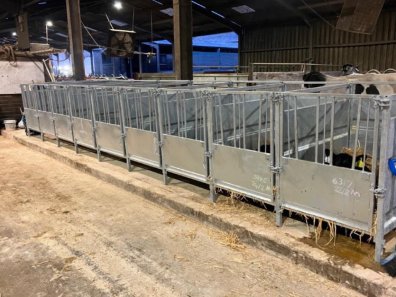 Engineering calf pens