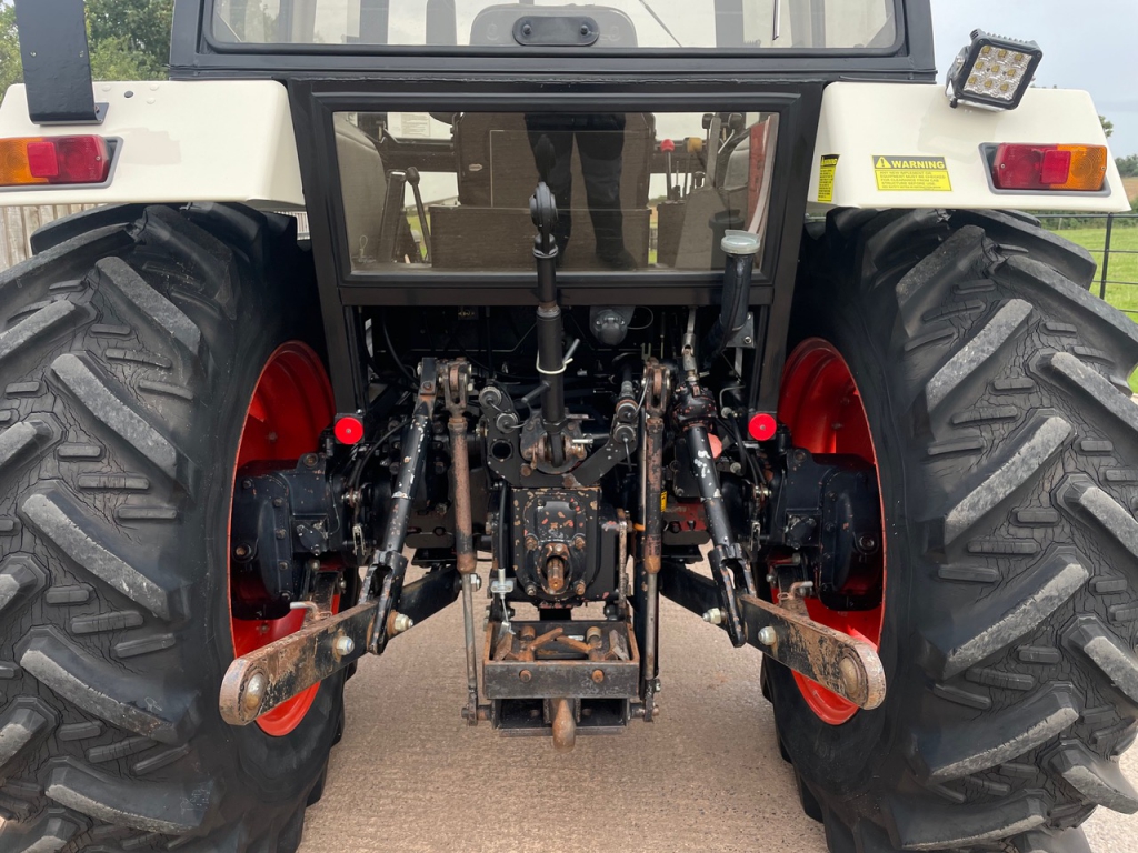 David Brown 1494