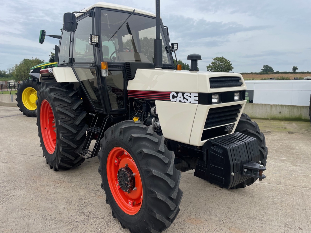 David Brown 1494