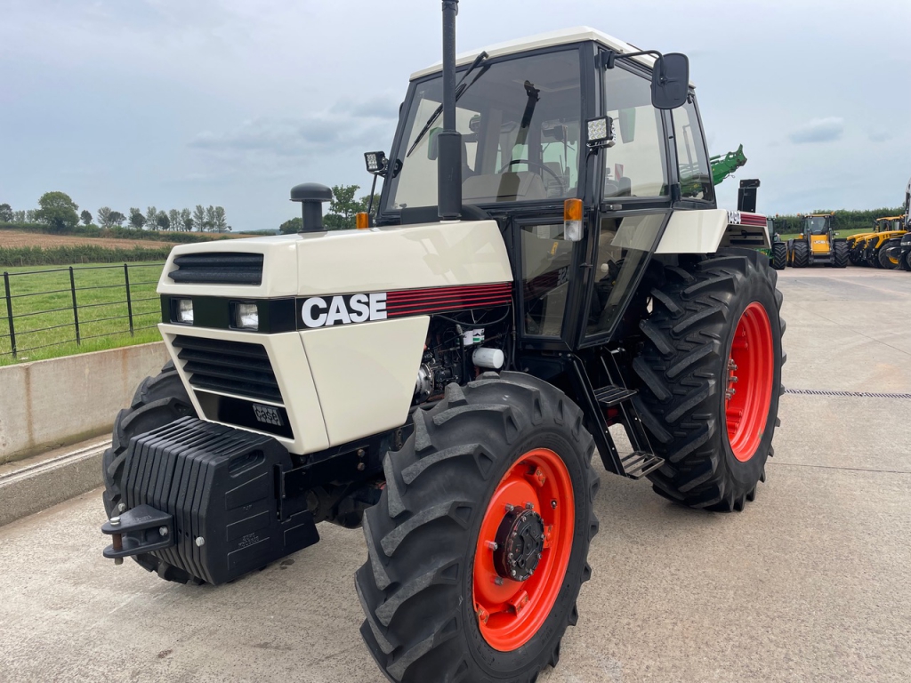 David Brown 1494