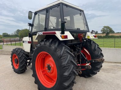 David Brown 1494