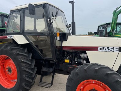 David Brown 1494