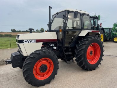 David Brown 1494