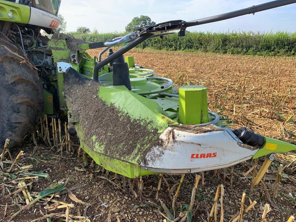 Claas Orbis 600 SD 8 row maize header