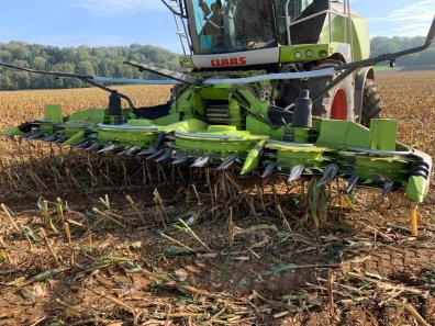 Claas Orbis 600 SD 8 row maize header