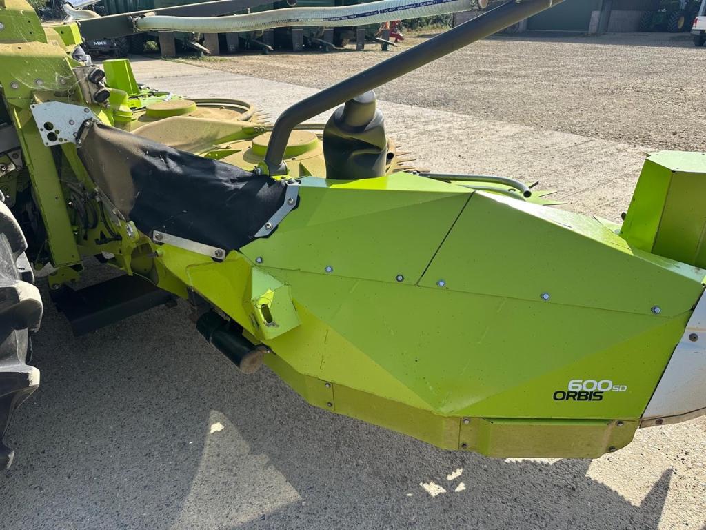 Claas Orbis SD 600 8 row maize header